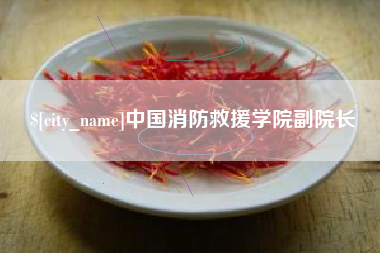 怒江中国消防救援学院副院长