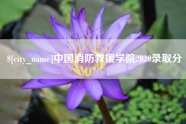 怒江中国消防救援学院2020录取分