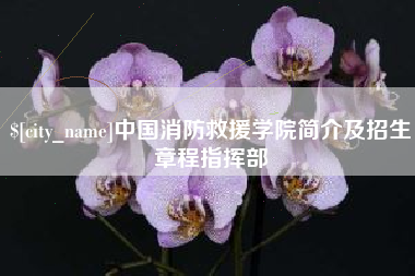 怒江中国消防救援学院简介及招生章程指挥部