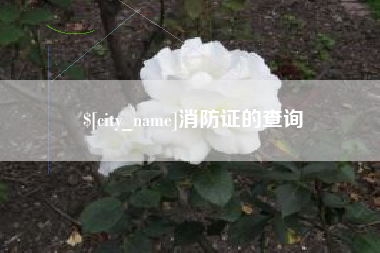 怒江消防证的查询