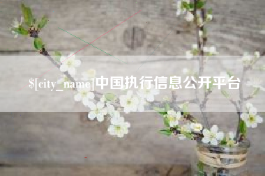 怒江中国执行信息公开平台