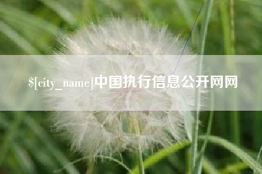 怒江中国执行信息公开网网