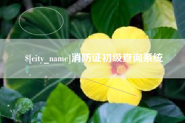 怒江消防证初级查询系统