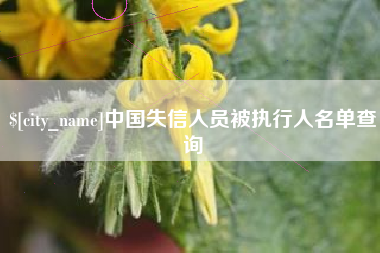 怒江中国失信人员被执行人名单查询