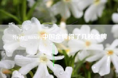 怒江中国金牌得了几枚金牌