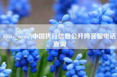 怒江中国执行信息公开网客服电话查询