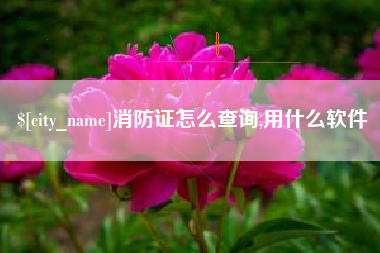 怒江消防证怎么查询,用什么软件
