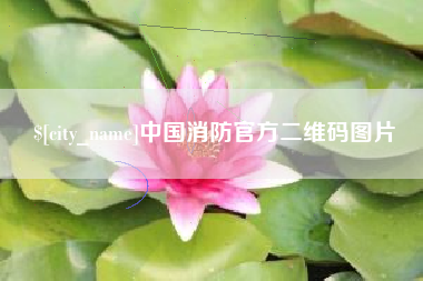 怒江中国消防官方二维码图片