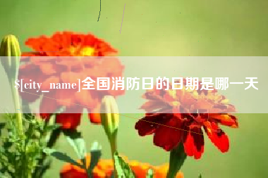 怒江全国消防日的日期是哪一天