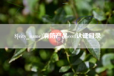 怒江消防产品cccf认证目录