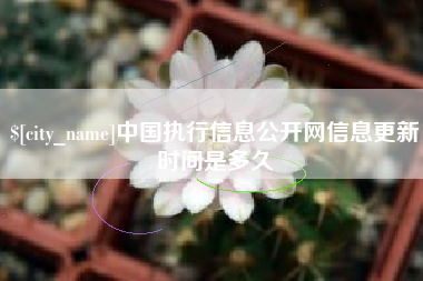 怒江中国执行信息公开网信息更新时间是多久