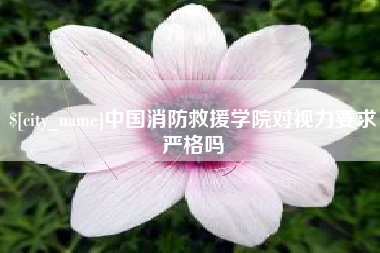 怒江中国消防救援学院对视力要求严格吗