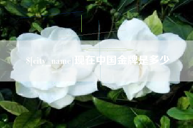 怒江现在中国金牌是多少