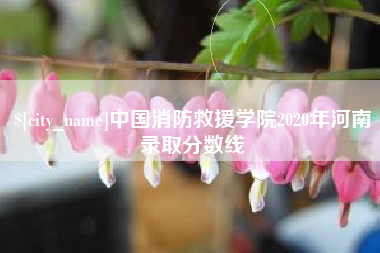 怒江中国消防救援学院2020年河南录取分数线