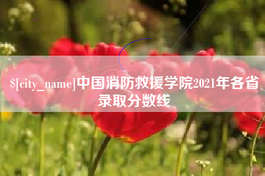 怒江中国消防救援学院2021年各省录取分数线