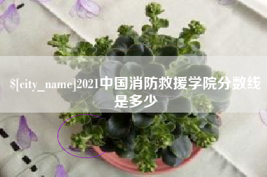 怒江2021中国消防救援学院分数线是多少