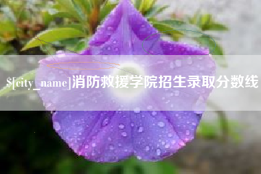 怒江消防救援学院招生录取分数线