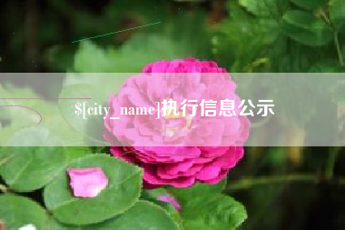 怒江执行信息公示