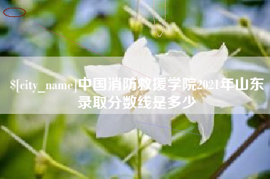 怒江中国消防救援学院2021年山东录取分数线是多少