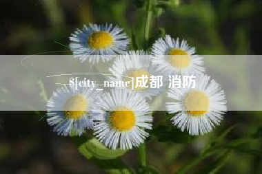 怒江成都 消防
