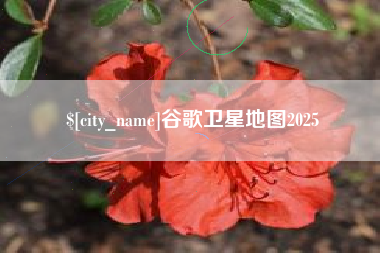 怒江谷歌卫星地图2025