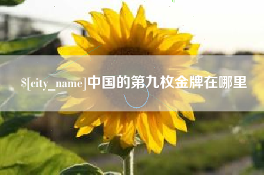 怒江中国的第九枚金牌在哪里