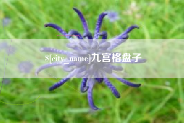 怒江九宫格盘子