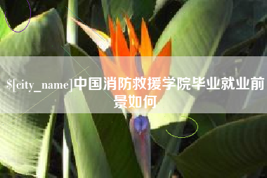 怒江中国消防救援学院毕业就业前景如何