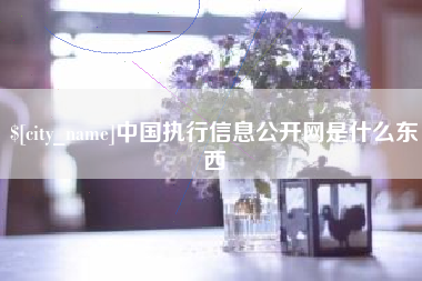怒江中国执行信息公开网是什么东西