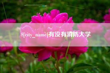 怒江有没有消防大学