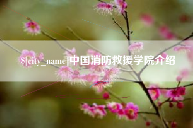 怒江中国消防救援学院介绍
