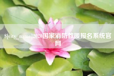 怒江2020国家消防救援报名系统官网