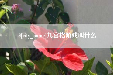 怒江九宫格游戏叫什么