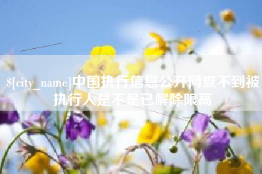 怒江中国执行信息公开网查不到被执行人是不是已解除限高