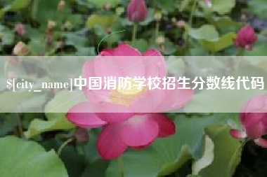 怒江中国消防学校招生分数线代码