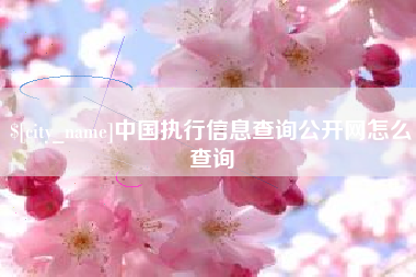 怒江中国执行信息查询公开网怎么查询