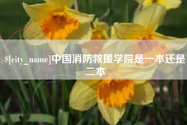 怒江中国消防救援学院是一本还是二本