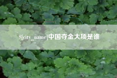 怒江中国夺金大项是谁