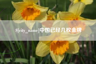 怒江中国已经几枚金牌