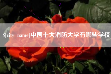 怒江中国十大消防大学有哪些学校