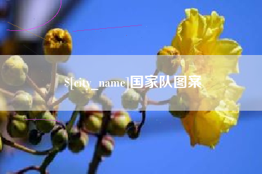 怒江国家队图案