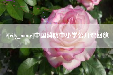 怒江中国消防中小学公开课回放