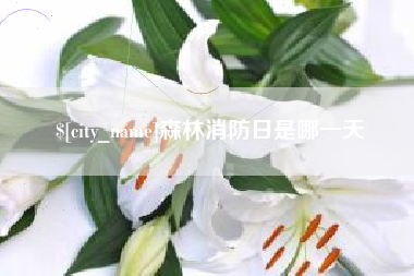 怒江森林消防日是哪一天