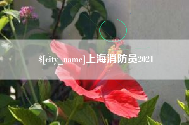 怒江上海消防员2021