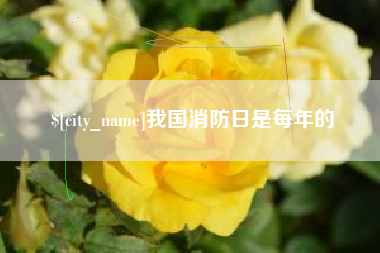 怒江我国消防日是每年的
