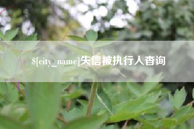 怒江失信被执行人杳询