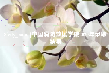 怒江中国消防救援学院2020年录取结果
