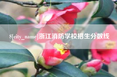 怒江浙江消防学校招生分数线
