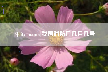 怒江我国消防日几月几号