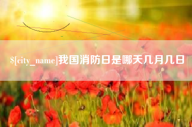 怒江我国消防日是哪天几月几日